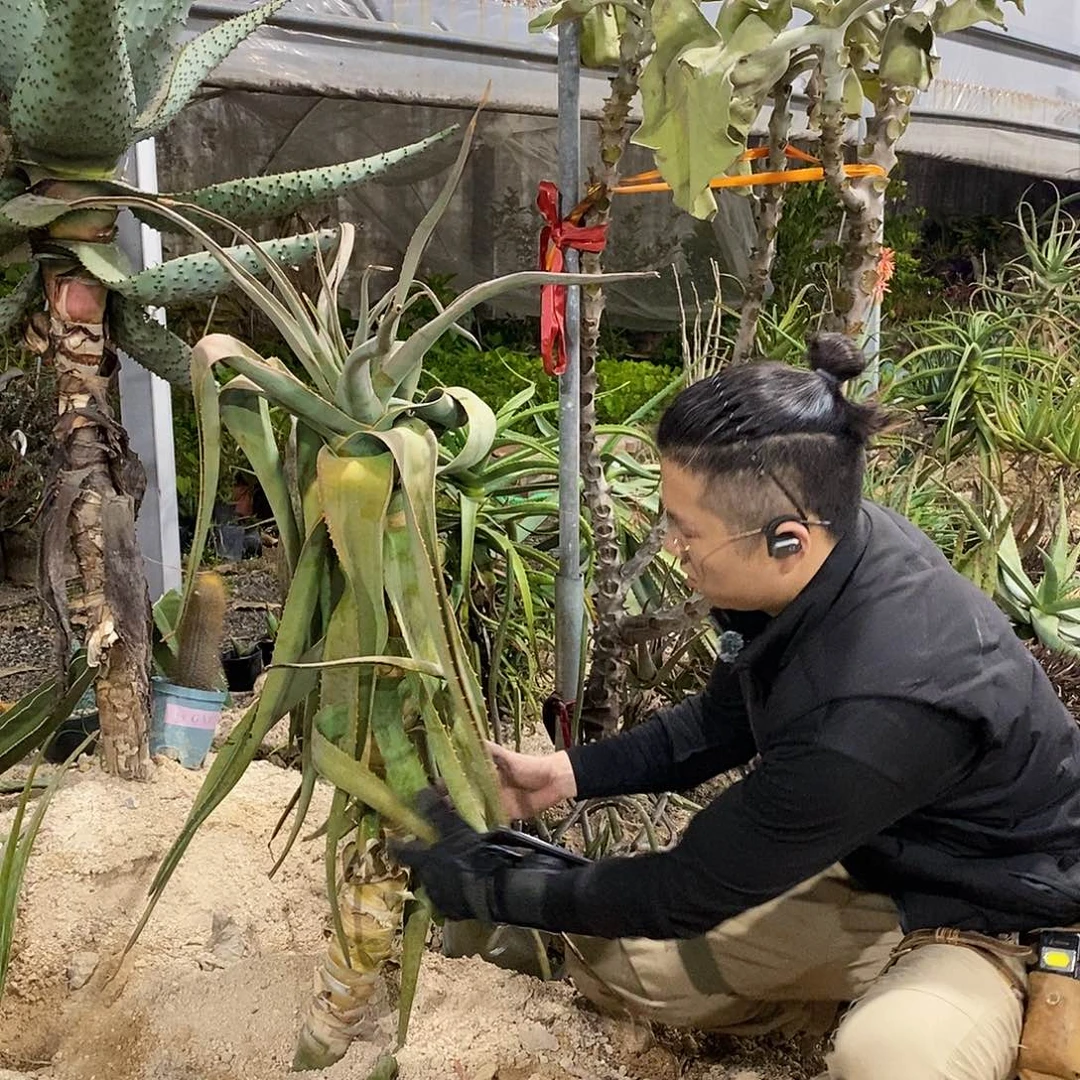 胖***九56号拍品。