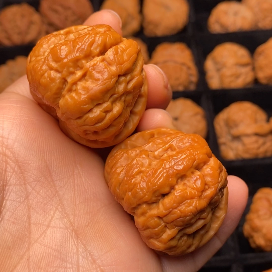 文玩核桃把件秦岭野生核桃