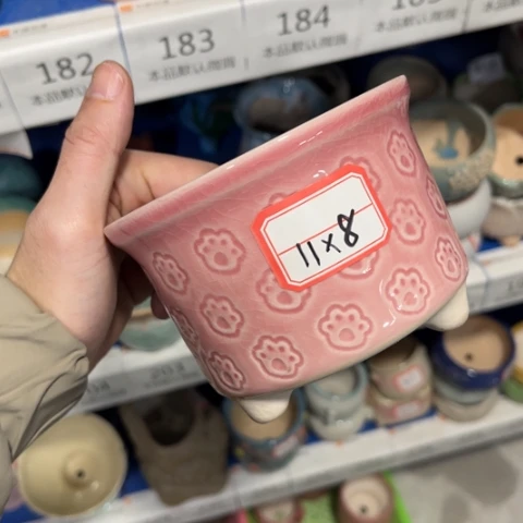 ［所有订单凑满15包邮］11×8