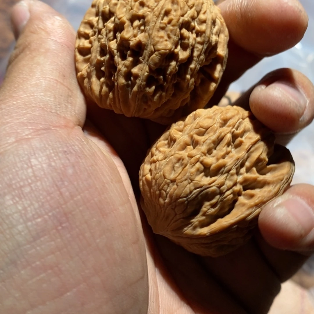 核桃手串/手链513