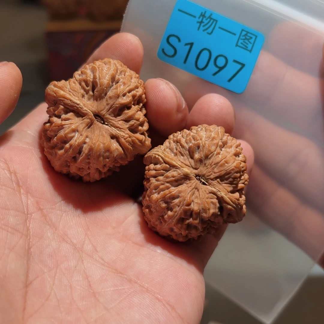 文玩核桃把件蒜头