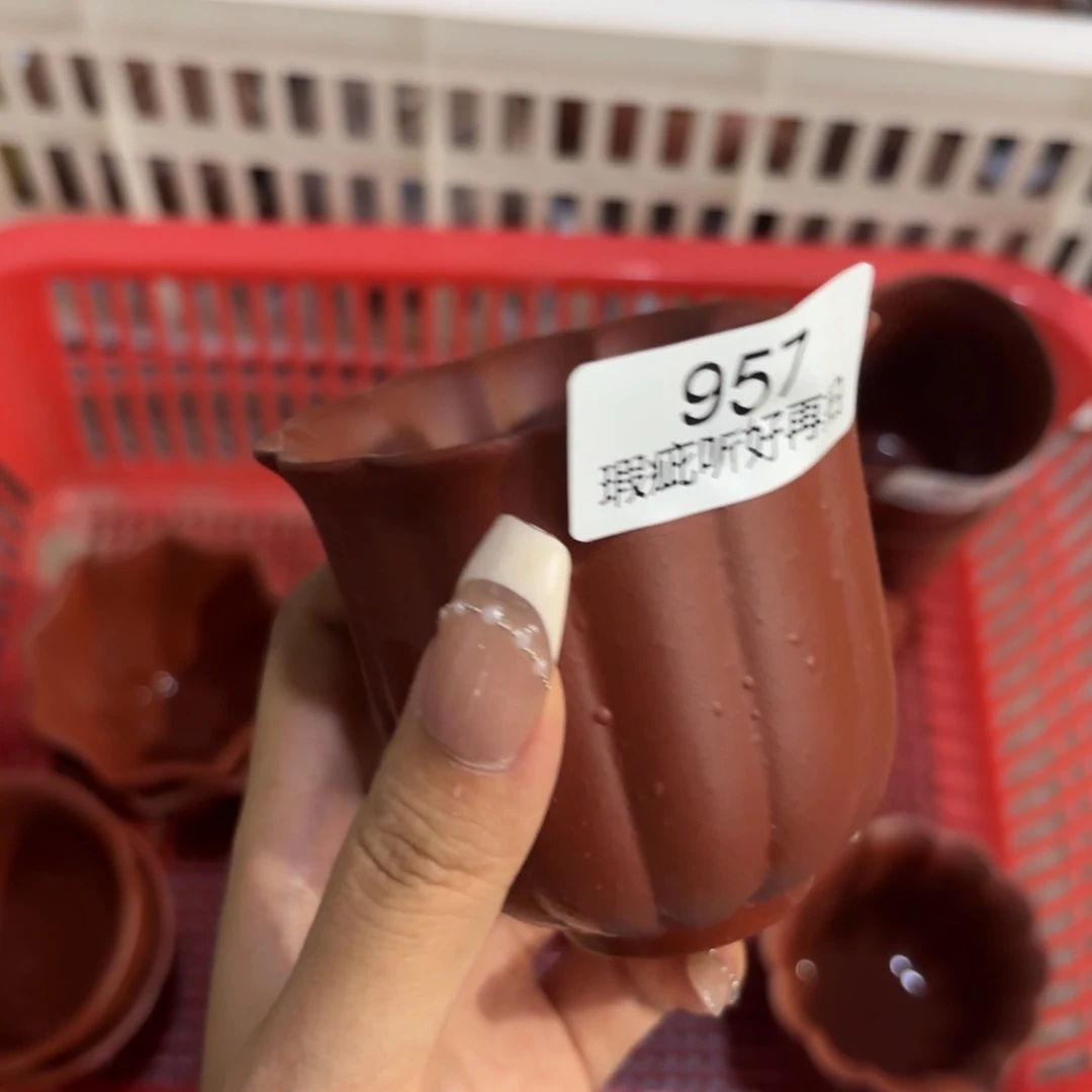 紫砂茶宠五号店专项