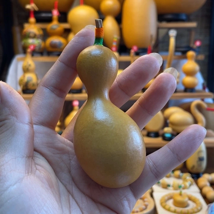 木***树天然葫芦自然生长