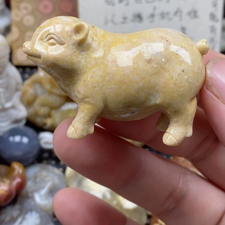 颈饰未镶嵌硅化珊瑚（珊瑚玉）