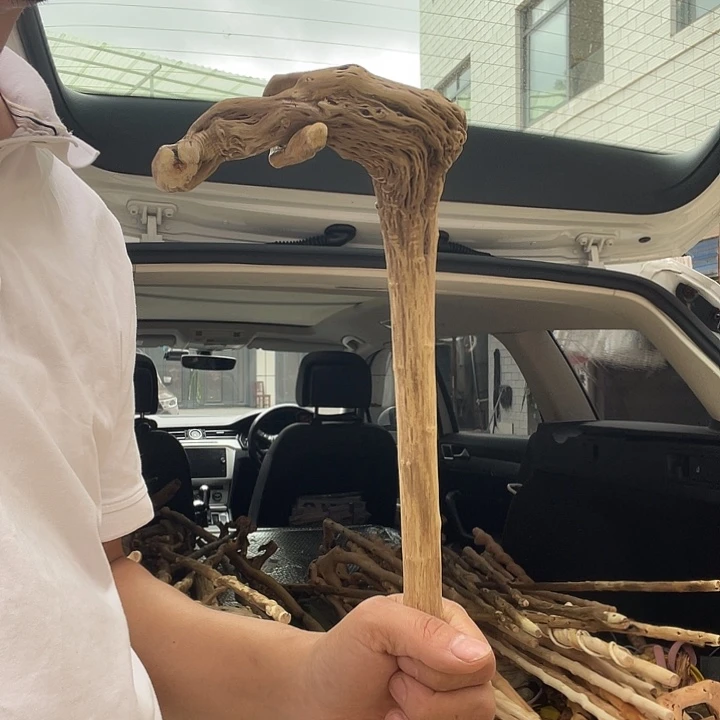 春*信贵州铁马鞭登山杖