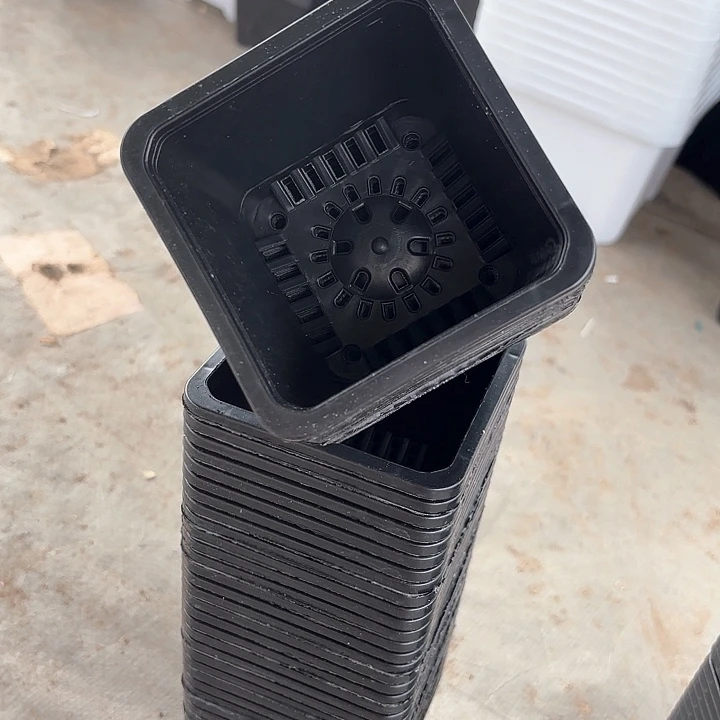 9公分黑方盆20个