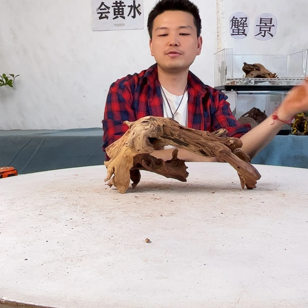 沉木造景寄居蟹景