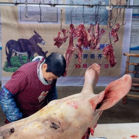 【闪购商品】冷冻保存30天包装河北省易****店