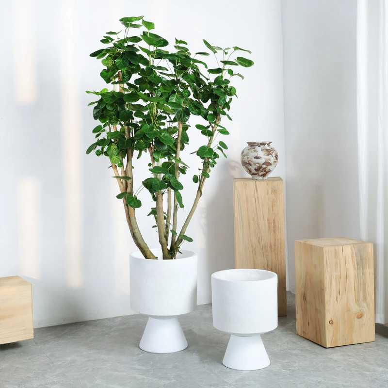 简约高级感高脚落地大花盆龟背竹三角梅专用花盆客厅民宿网红花盆