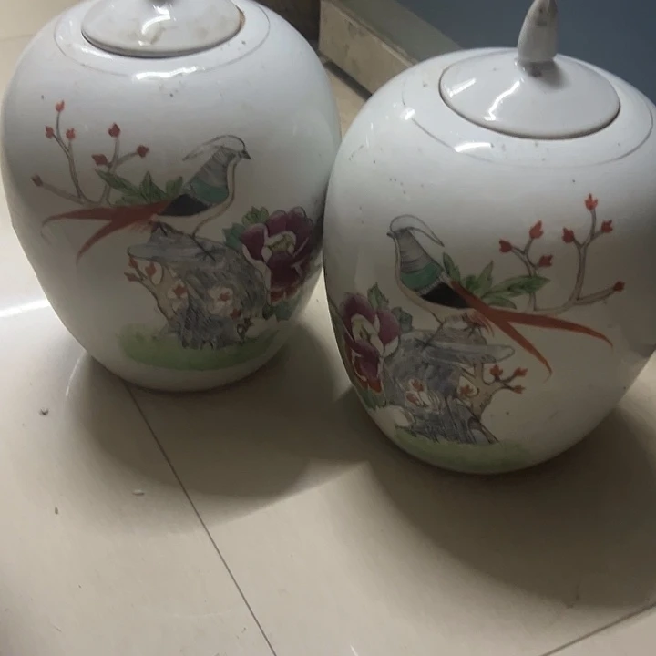 我的小可爱们都好可爱