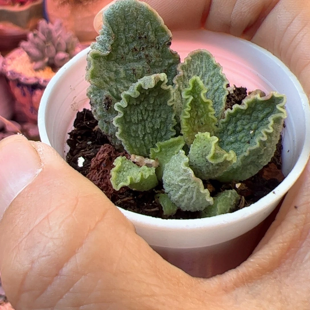 雅***鑫你们都是我的朋友们