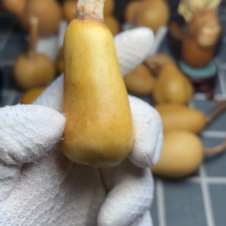 重***黑花嘴666666666666666