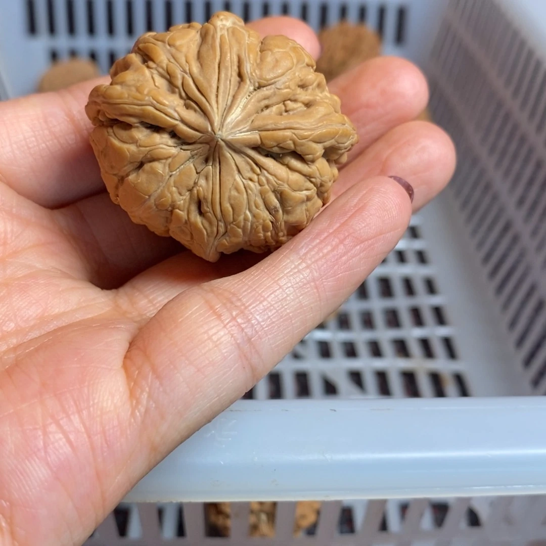 鸿***文玩核桃把件文玩