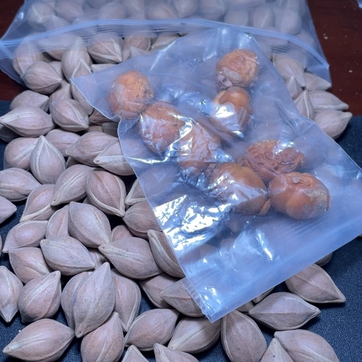常***宏吊坠橄榄核不退不换