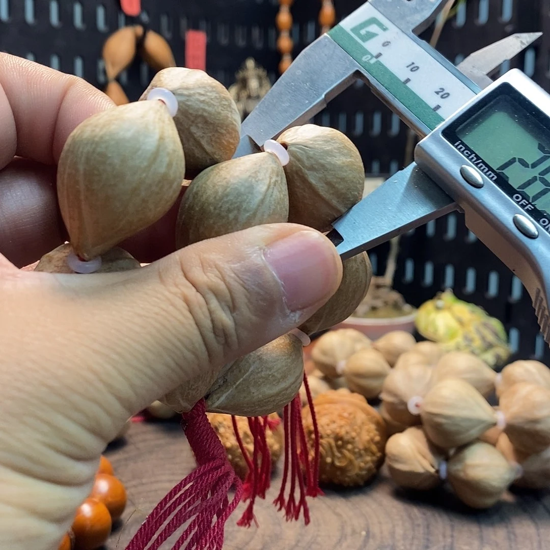 手串/手链橄榄核59699869999999