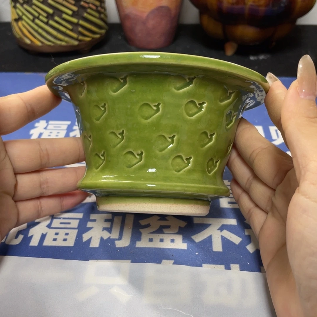特价微瑕疵不退不换哦65