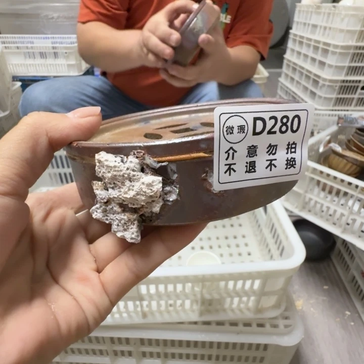 陶盘柴烧新品福利多多