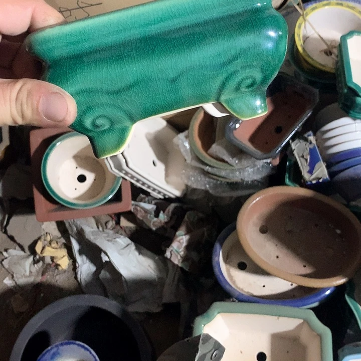 紫砂哈哈真的是太给力太火爆了