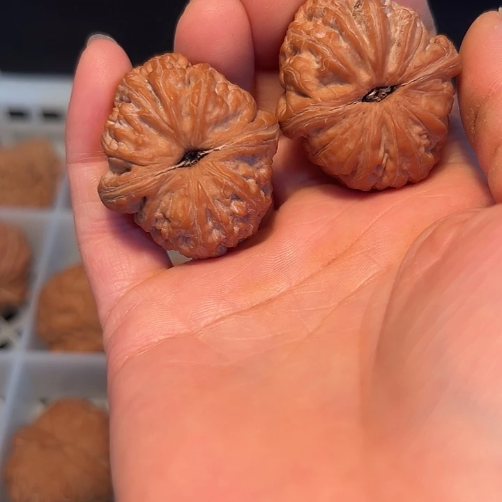 石***岁大叶紫檀（黑酸枝木类）