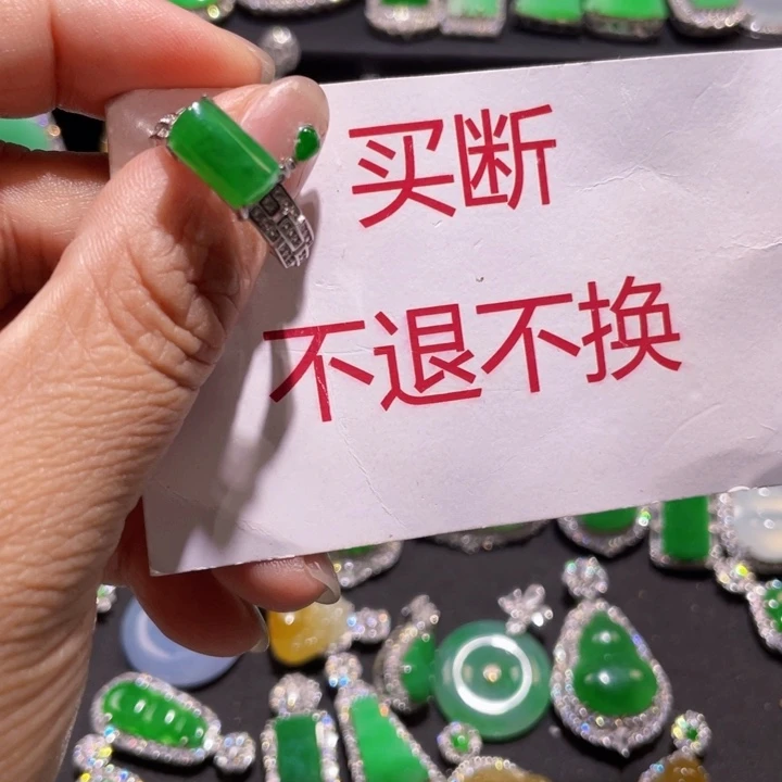 *****翡翠银S925镶嵌颈饰