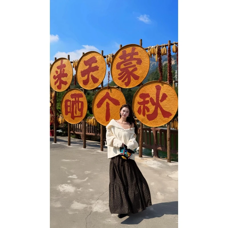 高级感老钱风时尚翻领长袖针织衫女装秋季设计感百搭显瘦半身裙潮