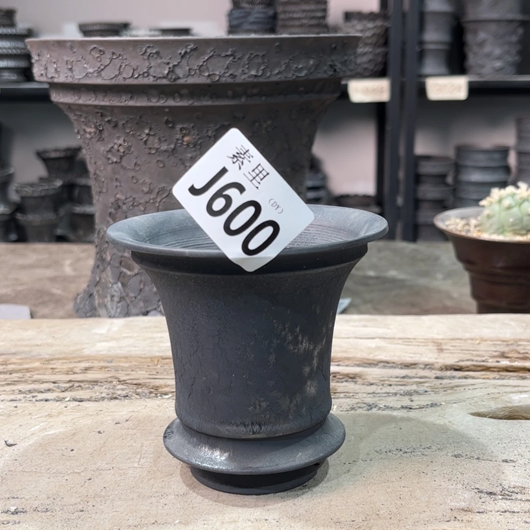 陶内口10.5高9.7景德镇