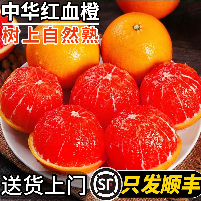 正宗中华红血橙时令鲜果橙子当季新鲜水果坏果包赔