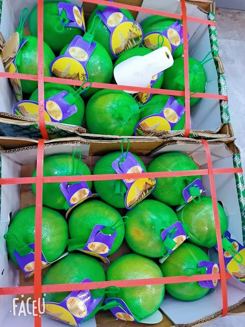 泰国青皮泰柚一个