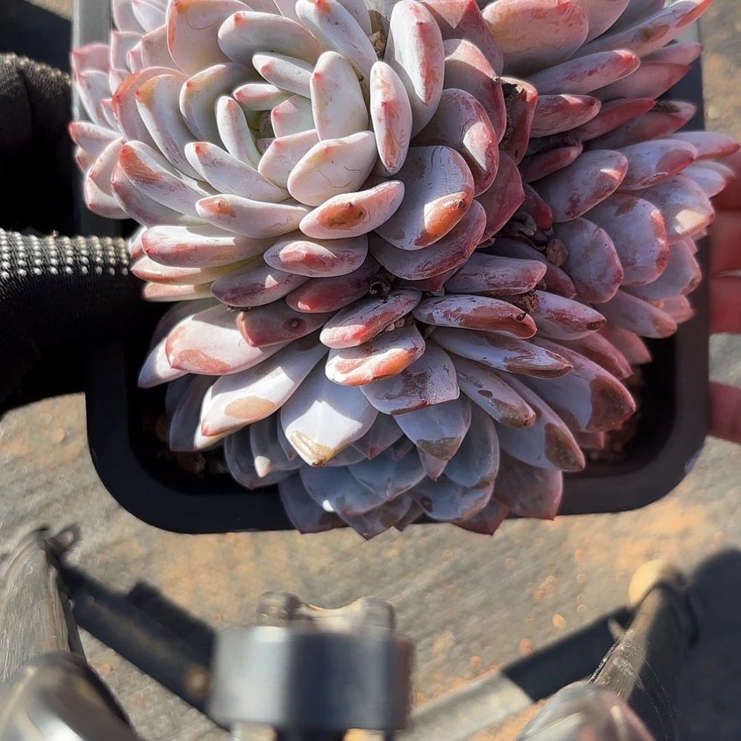 019包邮包邮包邮包邮