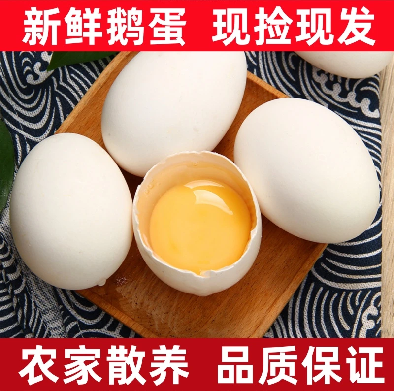 【破损包赔】新鲜农家散养土鹅蛋现捡现发 初生鹅蛋 营养丰富