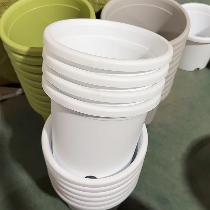 微瑕3#白色10个无托