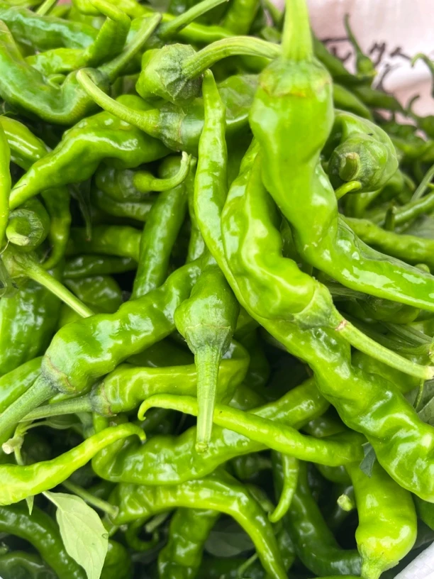 徐三味本地薄皮辣椒香辣