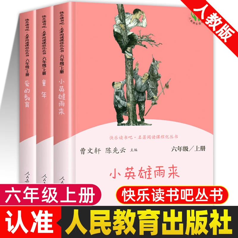 6六年级上快乐读书吧:爱的教育/童年/小英雄雨来