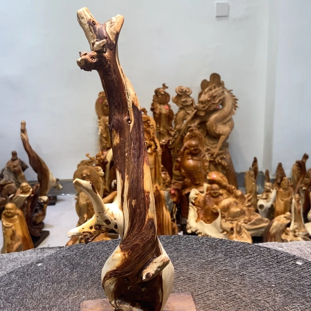 柏木（崖柏）进来点点关注哦