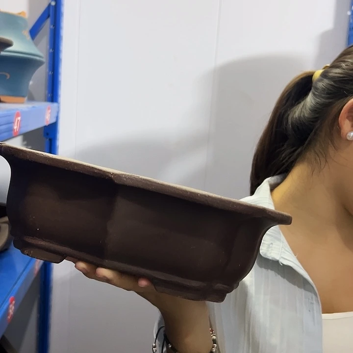 29莲花花盆花盆花盆