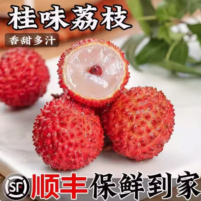 【顺丰次日达】广东茂名高州老树桂味荔枝3斤/5斤新鲜现摘小核荔枝坏果包赔荔枝同城送