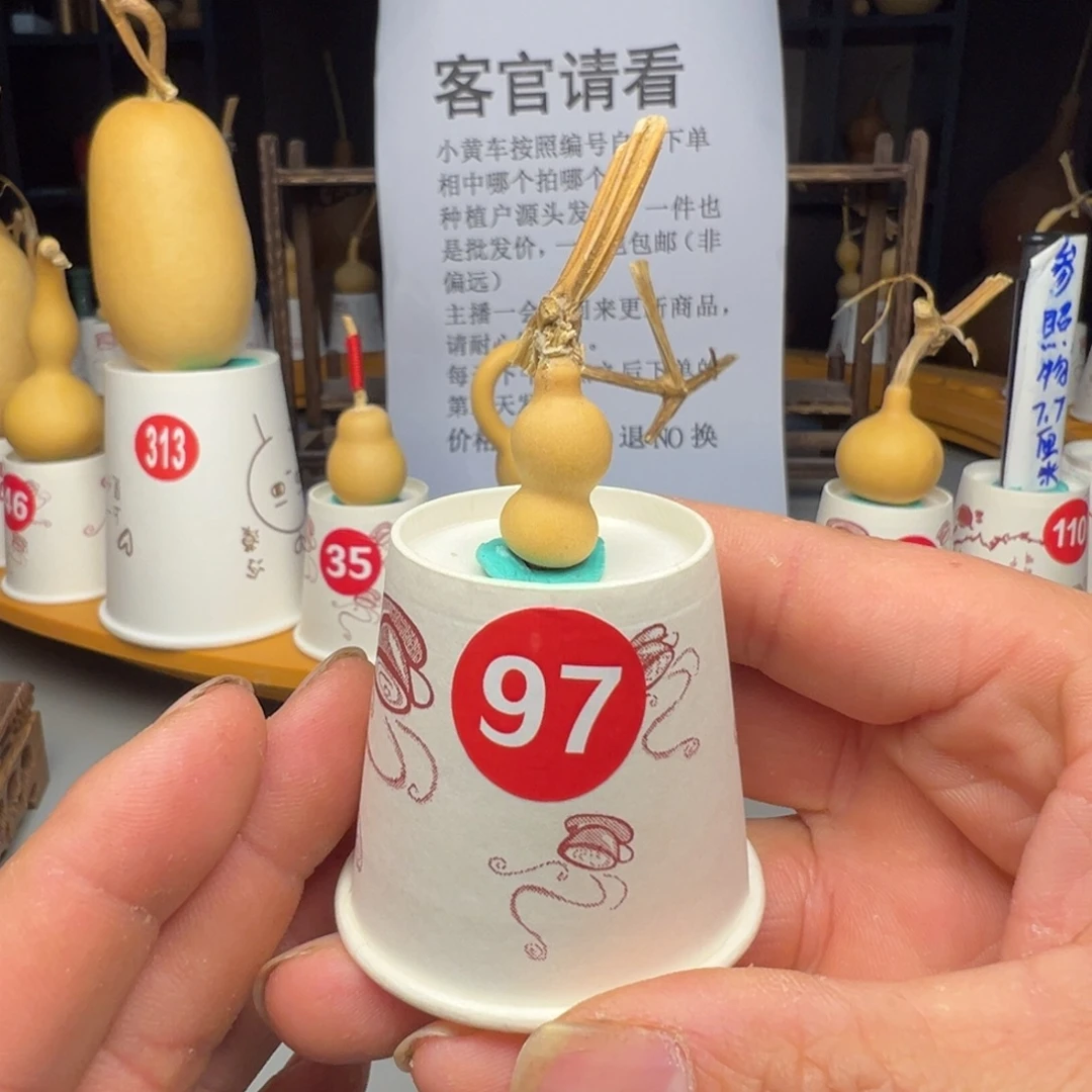 闪电购自助下单编号97