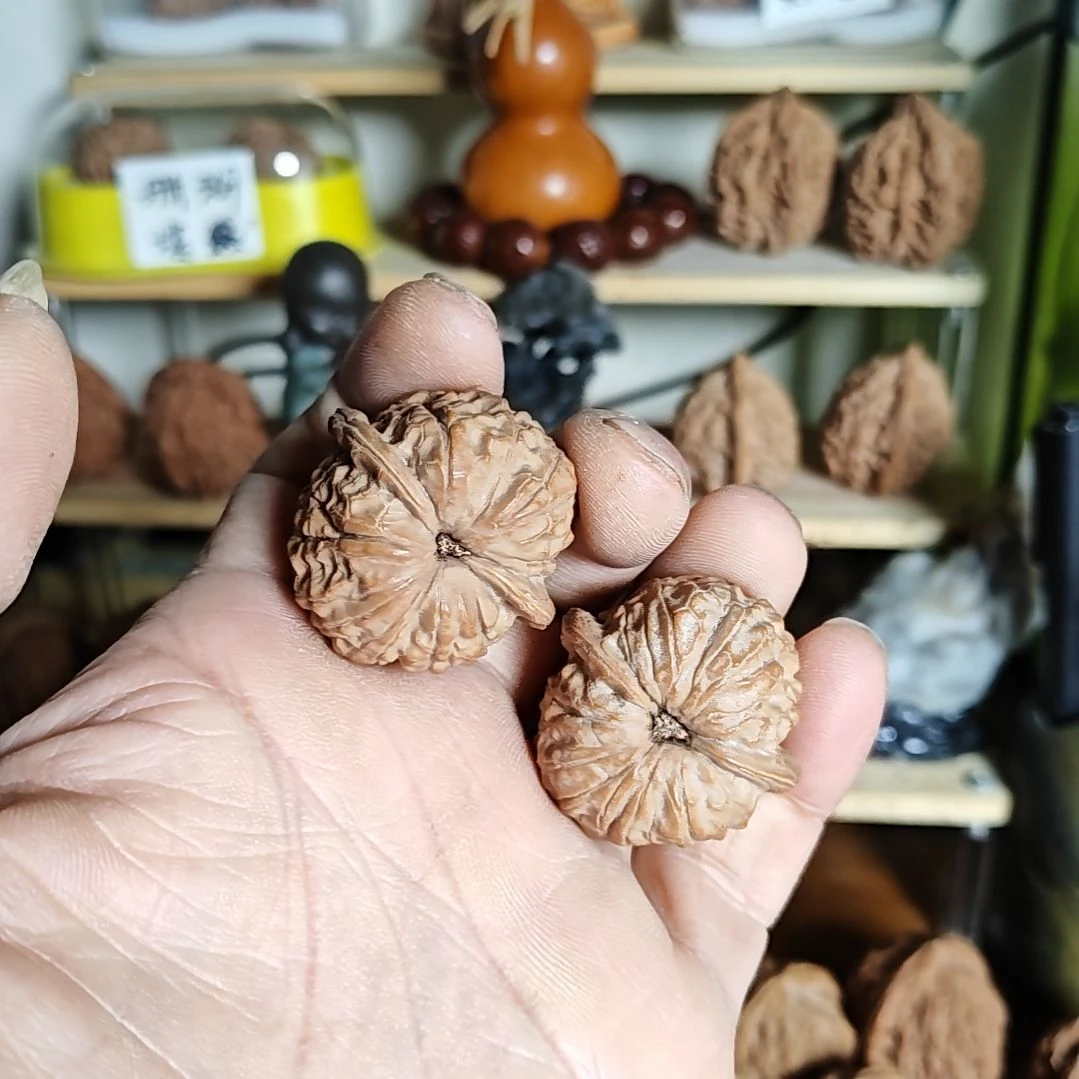 35加尺寸，凹底野生小众