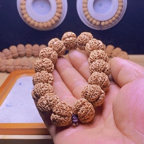 手串金刚菩提今日福利