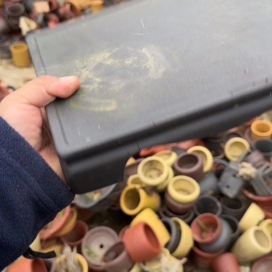 这就是为什么不可以说呢还是因为这个事情才这样