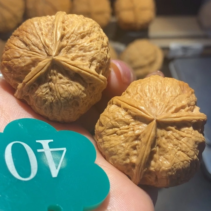 核桃三棱核桃尺寸37