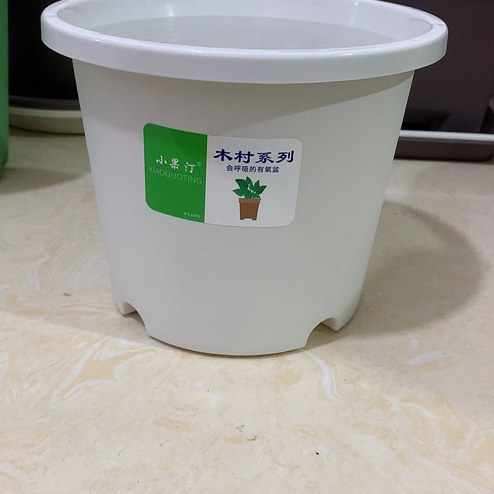 小果汀20口白5个无托