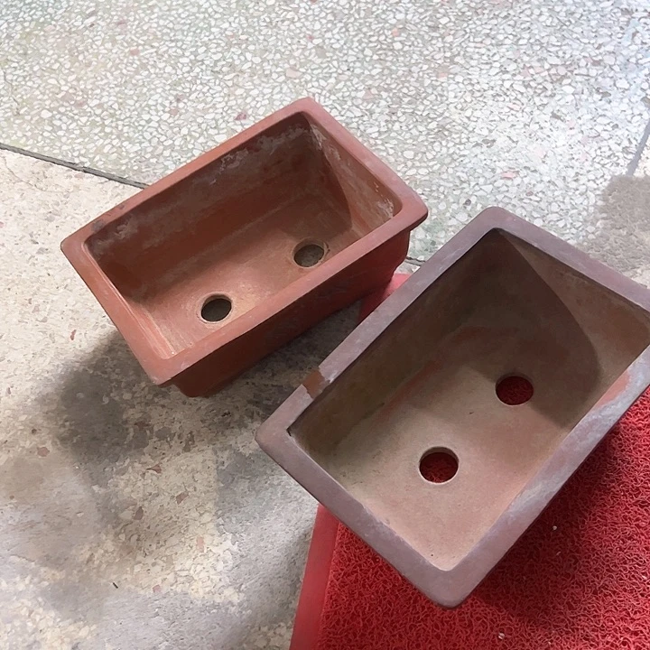 红陶伟*。。。。。。。。。。。