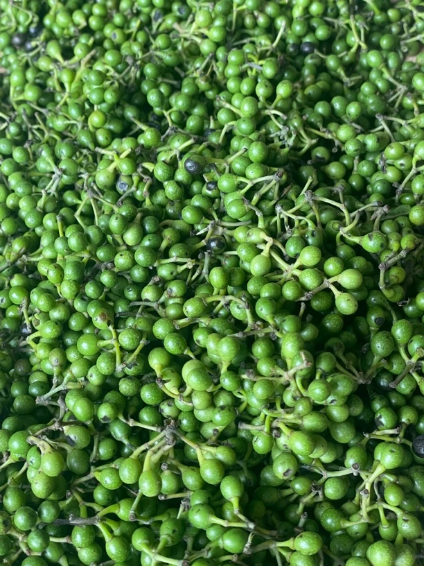 山里天然山胡椒木姜子