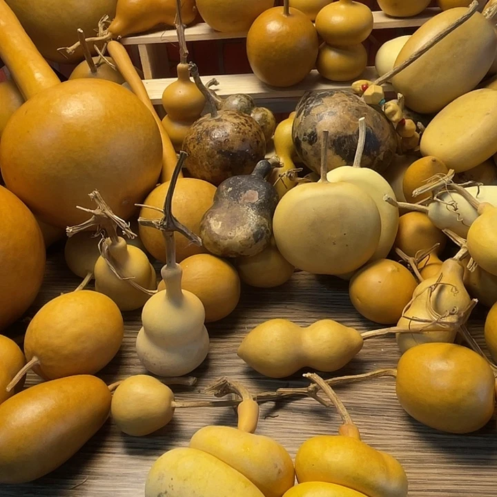 無***寶羊羔毛哈哈哈哈哈哈哈哈哈哈哈