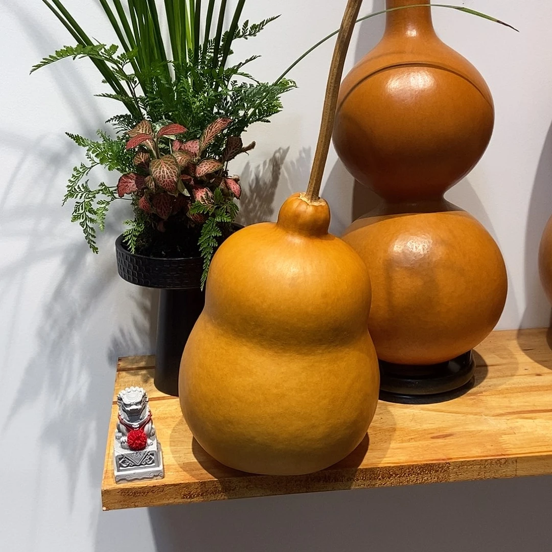 A***娟哈哈哈哈哈哈哈哈哈哈哈