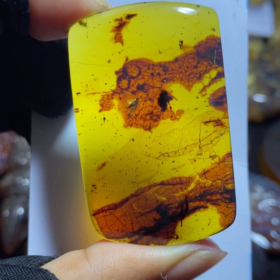 琥珀未镶嵌裸石有虫