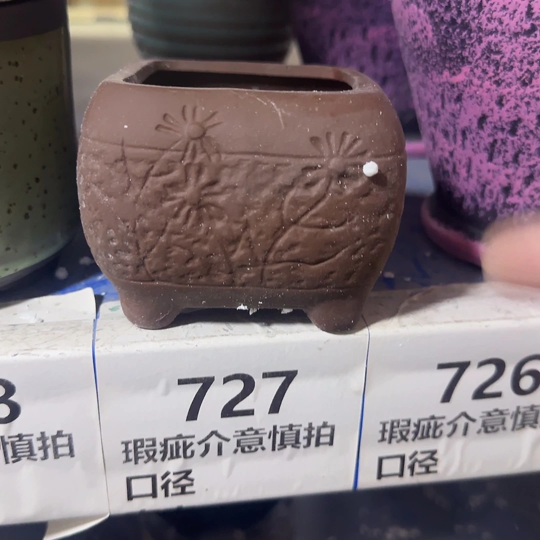 福利局绿植多肉盆［凑9元包邮24小时发］727