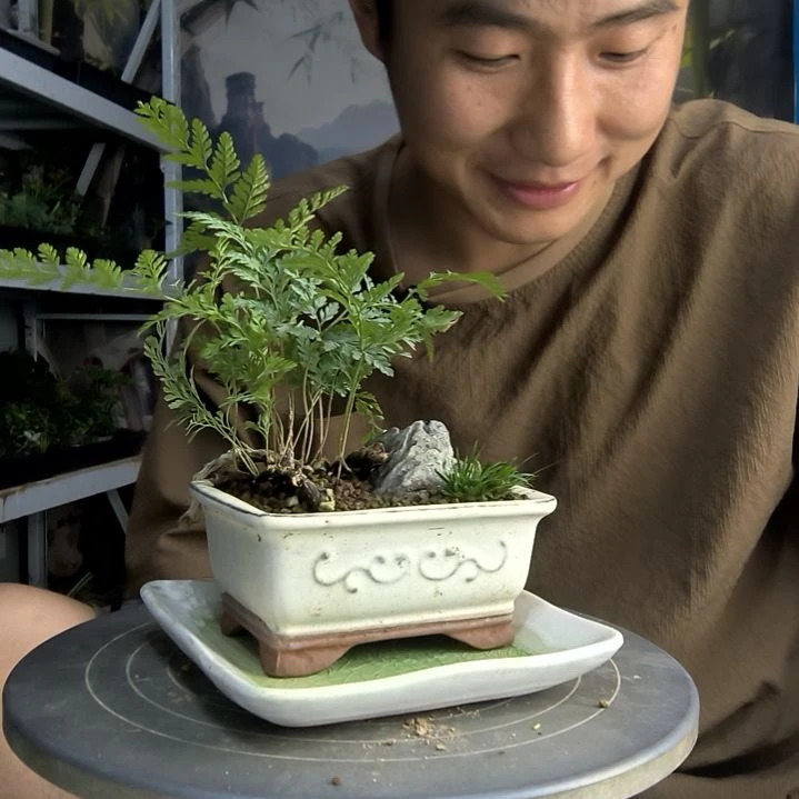 沈**姐中青园艺一物一拍109