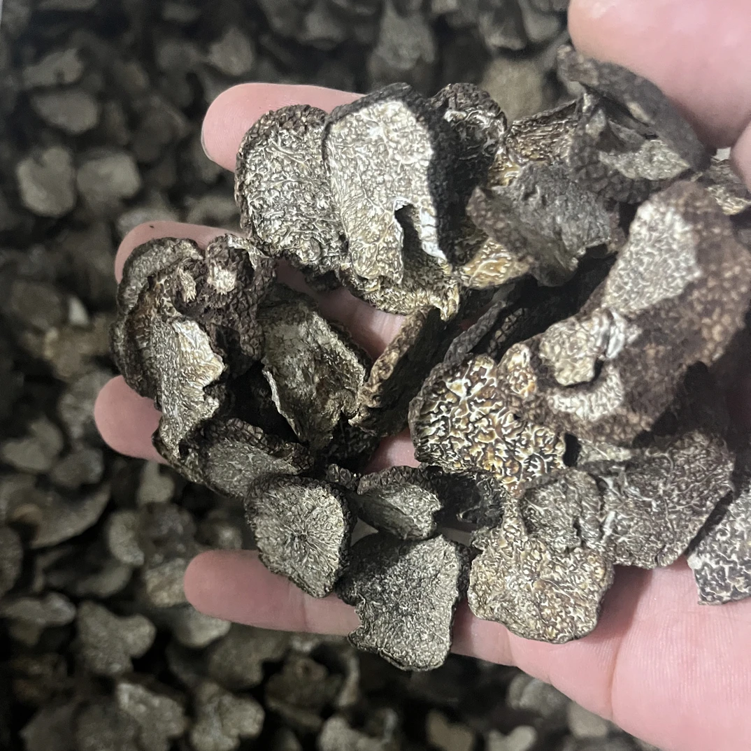 【精品黑松露】云南野生菌干货 小蒲村长推荐